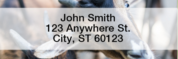 Goats Rectangle Address Labels | LRANI-28