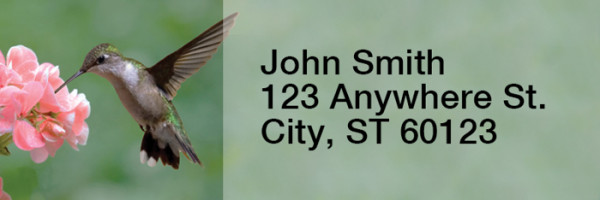 Hummingbirds Rectangle Address Labels | LRRANI-25