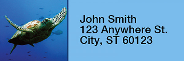 Sea Turtles Under Water Rectangle Address Labels