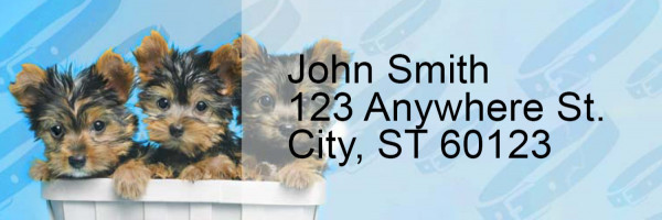 Yorkie Pups Keith Kimberlin Address Labels