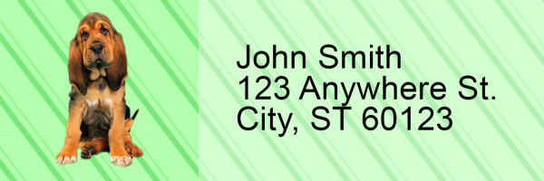 Bloodhound Pups Keith Kimberlin Address Labels | LRRKKM-26
