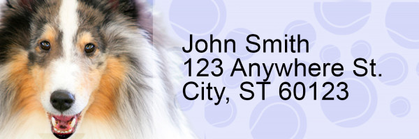 Collie Pups Keith Kimberlin Address Labels | LRRKKM-33