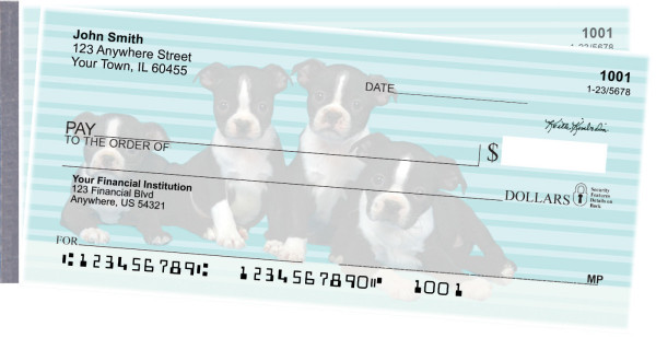 Boston Terrier Pups Keith Kimberlin Side Tear Checks | STKKM-18