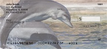 Dolphin Photos 