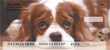 Cavalier King Charles Dogs 