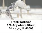 Owl Flight Address Labels