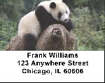 Panda Bear Address Labels